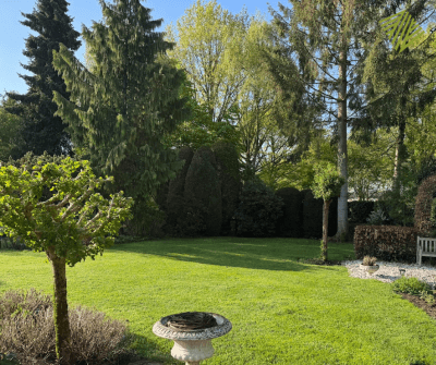 Groenste tuin 2