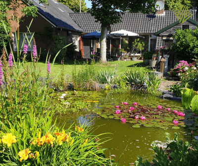 Groenste tuin 3